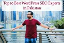 Best WordPress SEO Experts in Pakistan