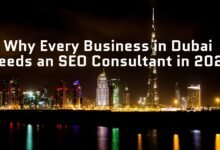 Why Every Business in Dubai Needs an SEO Consultant