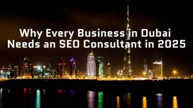 Why Every Business in Dubai Needs an SEO Consultant